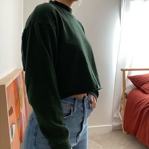 American Eagle Cropped Sweater